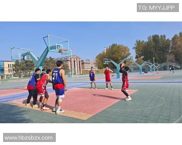 沈梓捷的成长之路与篮球梦想的追逐历程探讨